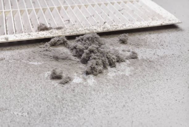 Best Professional Duct Cleaning Services  in Rio Verde, AZ